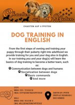Training in English