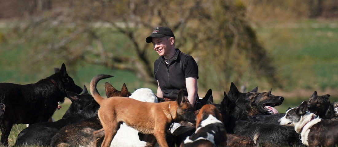 Katrin Scholz - Leben und Training mit mehreren Hunden – Mehrhundehaltung erfolgreich meistern