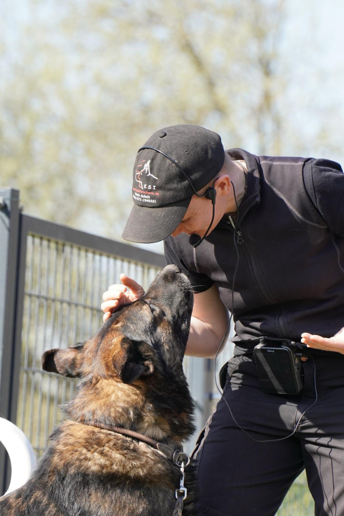Katrin Scholz - Stress bei Hunden - Erkennen, Behandeln und Nutzen