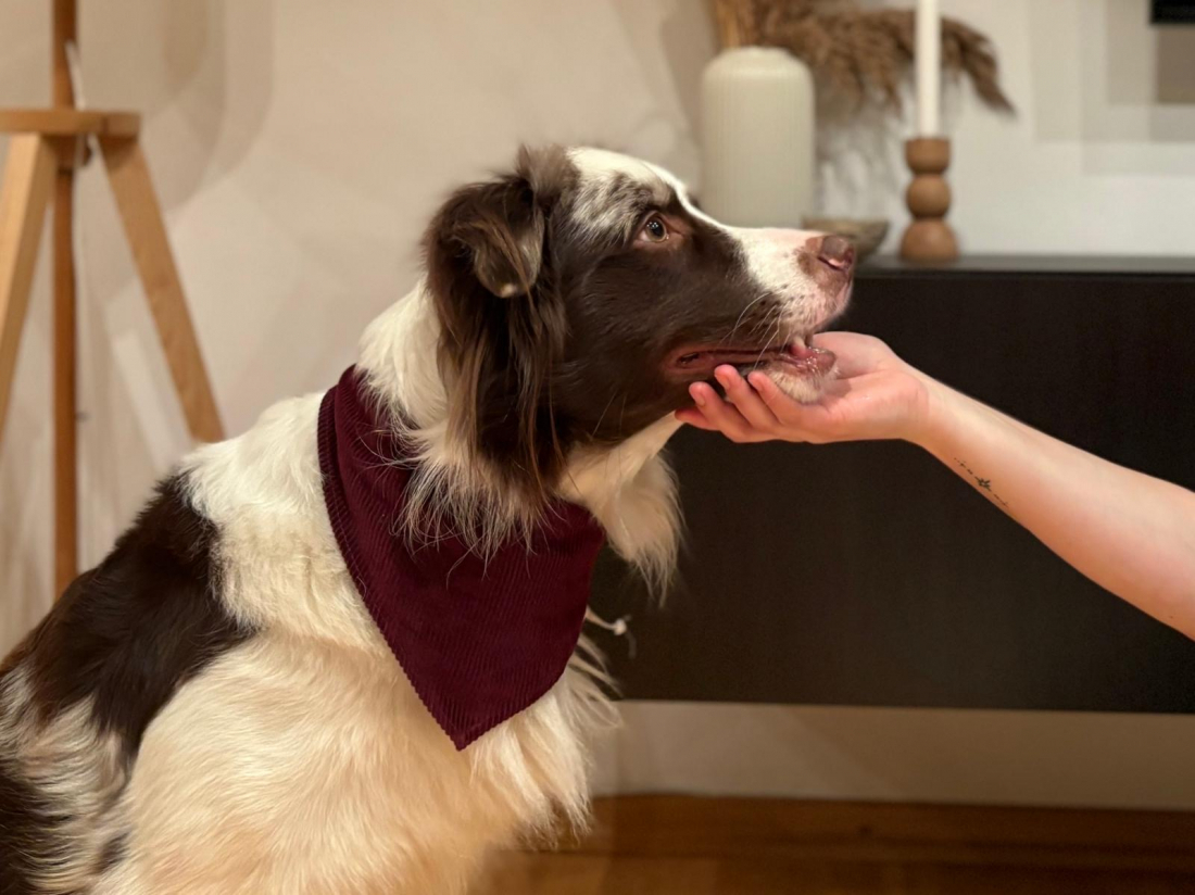 Intensivtag: Bindung und Beziehung