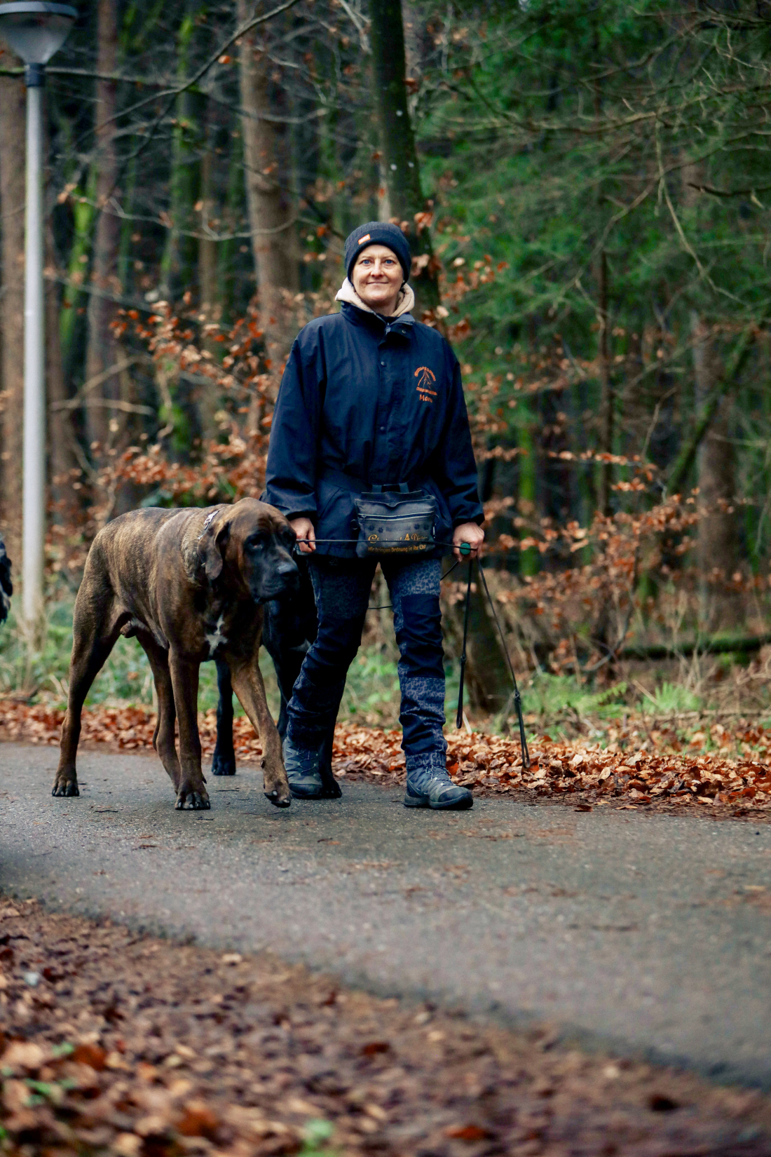 Rundum in Bewegung – Der Hundefitness-Walk 