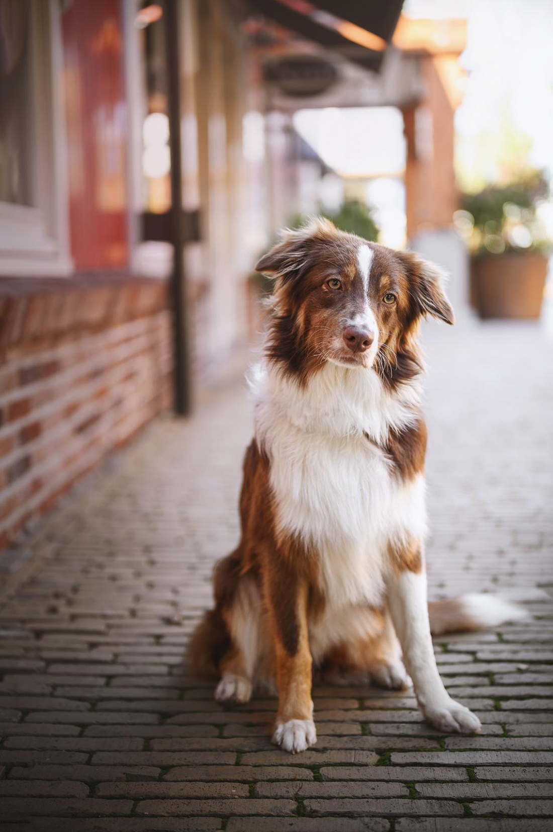 Social Walk mit Fotograf – Thema Stadt