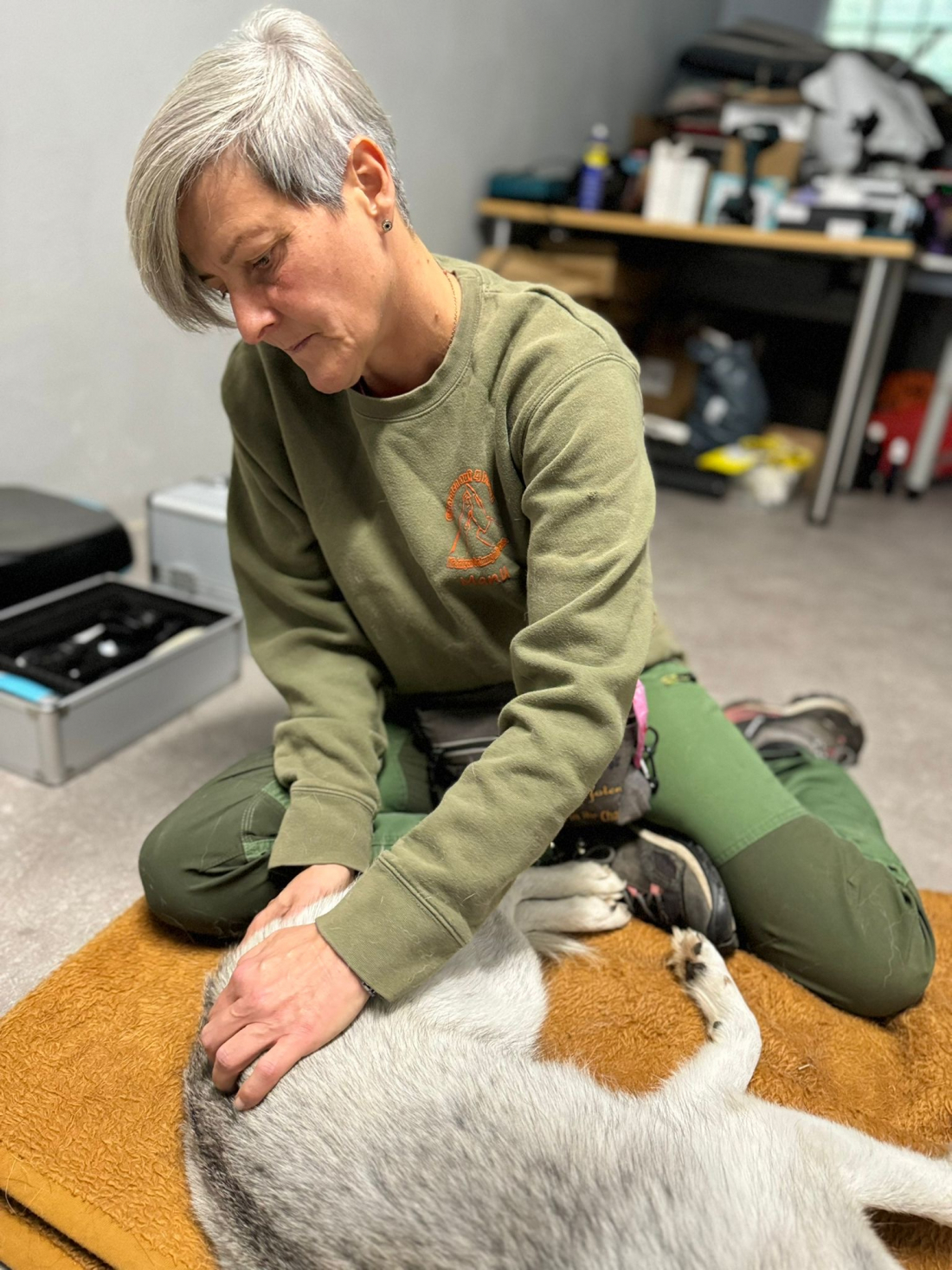 Massagekurs für Hunde 