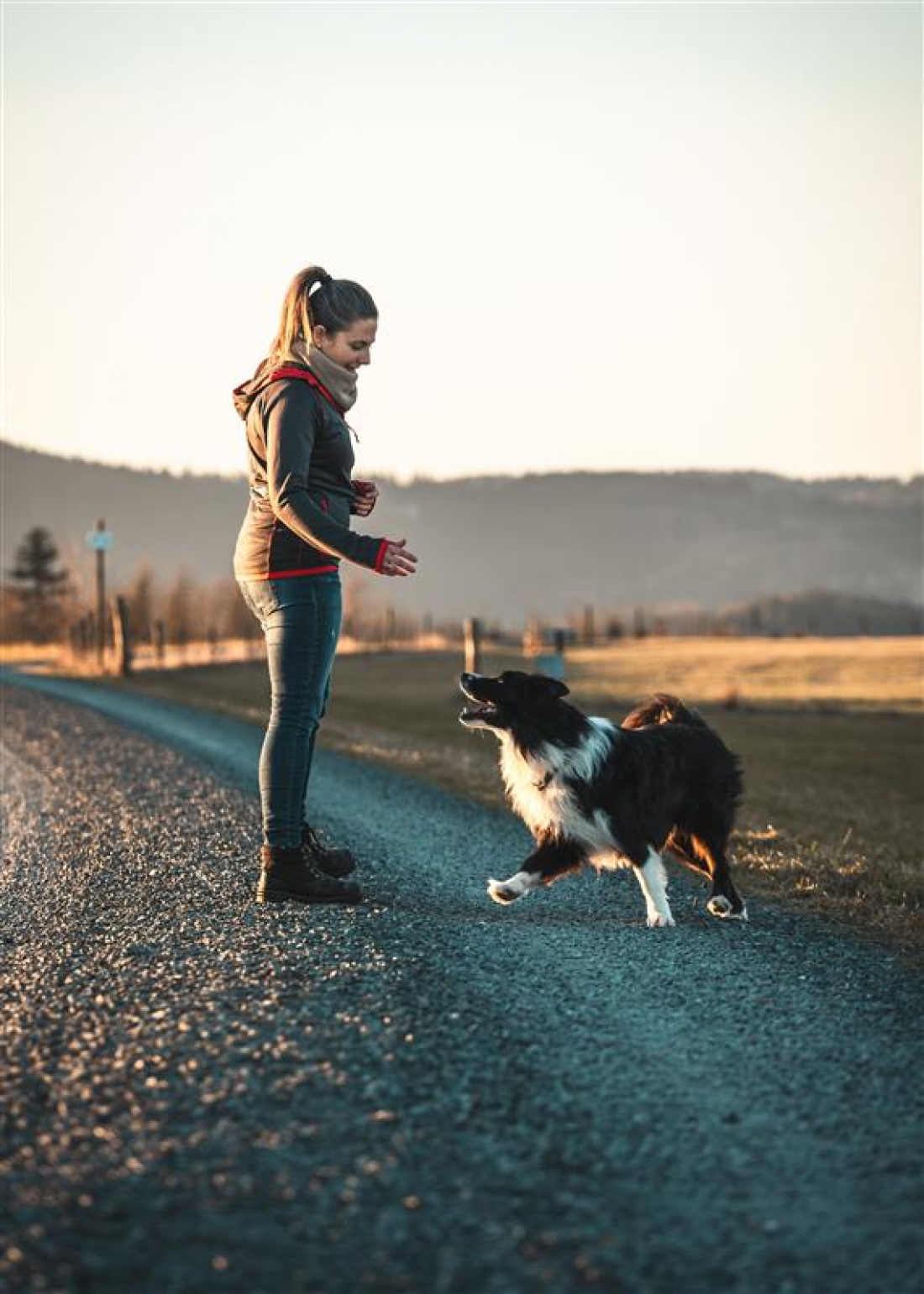 Longieren für Hundetrainer;innen mit Rejana 
