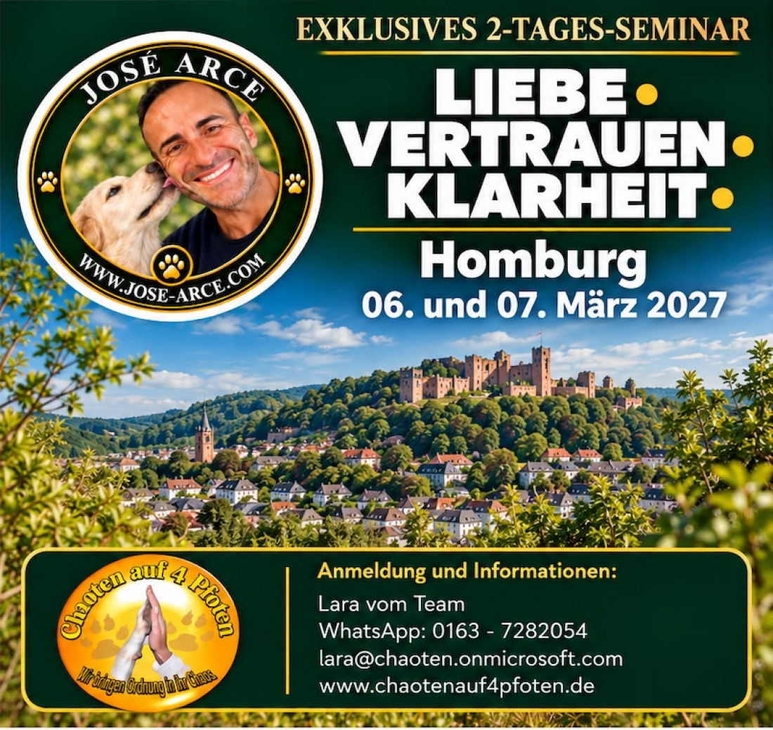 José Arce Liebe Vertrauen Klarheit