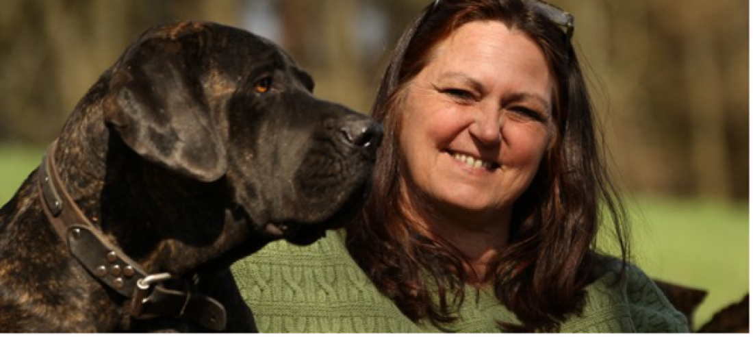 Abendvortrag Sozialverhalten Hunde
